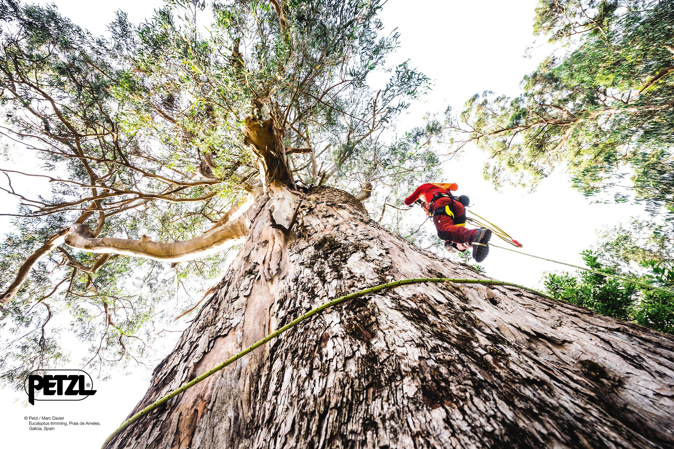Fully Stocked Professional Arborist & Climbing Gear Store Since 1992!